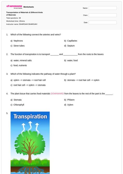 50+ Transportation worksheets for Class 4 on Wayground | Free & Printable