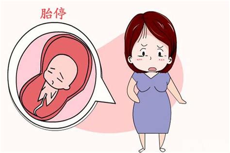 孕早期，若B超出现这些指标，基本判定“胎停育”，没必要再等了_腾讯新闻