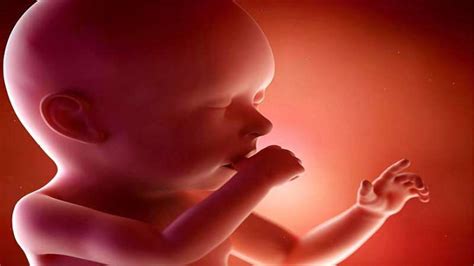孕28周，胎宝宝的这些感官发育已经完成，看完你还会“挑食”吗,亲子,孕产,好看视频