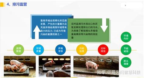京东进军养殖行业，“互联网猪厂”环境监控开启新风暴-迈世OMARA