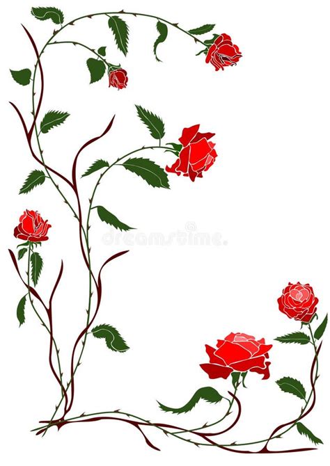 Rose Vine Drawing