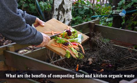 Image result for Kitchen Waste Composting