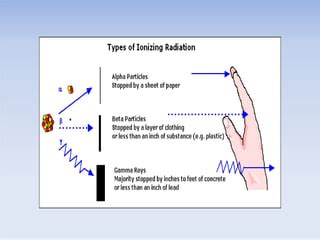 Image result for Basic Radiation Safety Principles