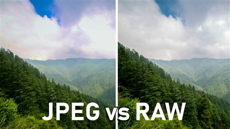 RAW vs JPEG - Mejores formatos de fotografías