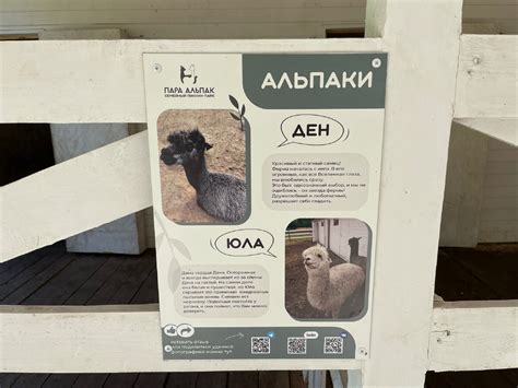 Парк "Пара Альпак" в Тольятти | Стильная ферма с прудом и редкими ...