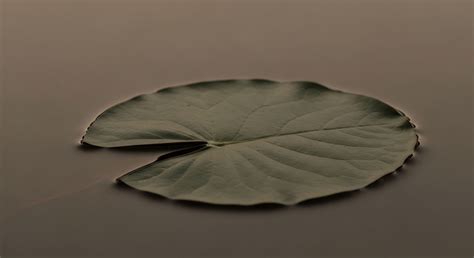 What Is the Meaning of "Designated Uses" in the Context of Water ...