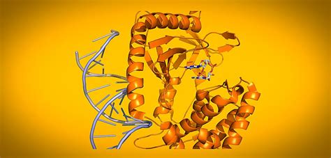 Image result for Host-Pathogen