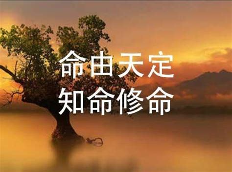 是「論命」，不是「算命」| 惟馨堂陳教授命理與陽宅風水 專業中心