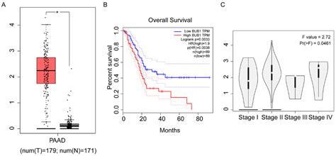 BUB1 Promotes Gemcitabine Resistance in Pancreatic Cancer Cells by ...