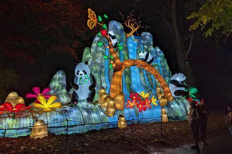 WildLanterns 2023 @ Woodland Park Zoo - The Ticket