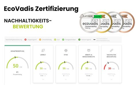 EcoVadis Rating verbessern | Struktur, Nachweise, Score | Texulting