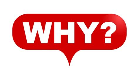 Image result for Why Is Python Named Python