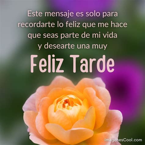 Mensajes De Feliz Tarde IMÁGENES DE BUENAS TARDES Bonitas Con Frases