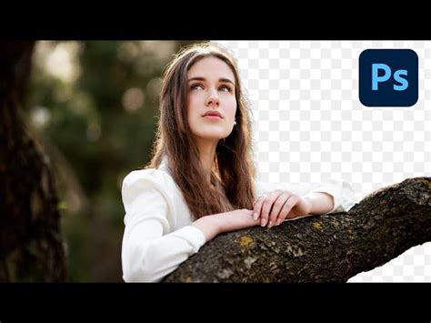 Image result for Photoshop Background Removal Tutorial