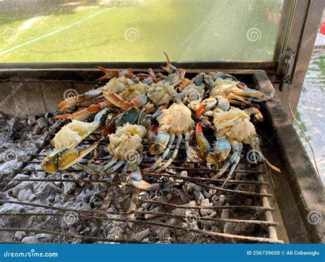 Blue Crab Cooked on the Grill Stock Photo - Image of asian, fish: 256739650