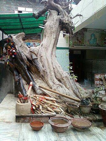 Faridkot Tourism (2024): All You Need to Know Before You Go