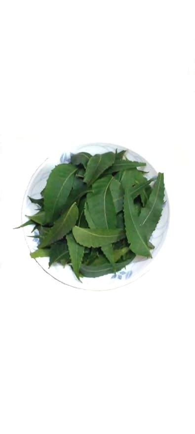 Li6 ®™ Neem Ki Patti ( 100 Gram ) Fresh Neem Leaves - Nim Ke Ped Ka ...