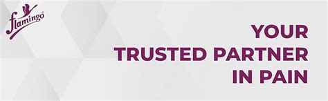 Flamingo Reciprocal Folding Walker | Light Weight Height Adjustable ...