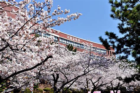 韩国新罗大学怎么样 相当于国内几本大学_蔚蓝留学网