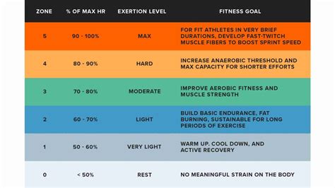 Examples Of Zone 2 Cardio