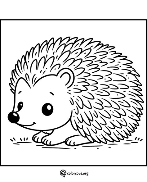 24 Free Hedgehog Coloring Pages – The Color Cove