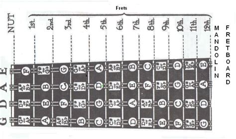 Image result for Mandolin Tuning Notes