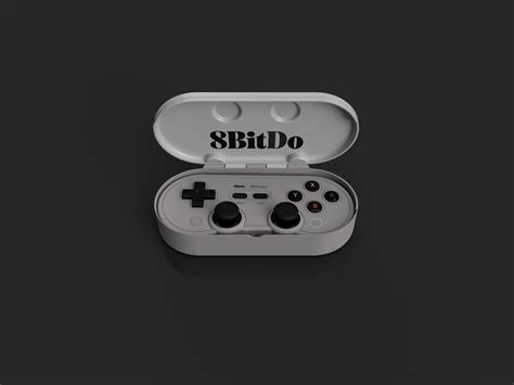 Image result for 8Bitdo SN30 Pro Layout