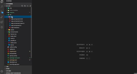 Image result for Visual Studio Code Templates