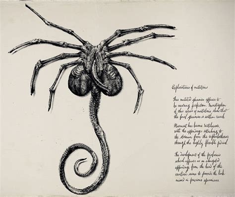 Image result for Alien Covenant Eggs