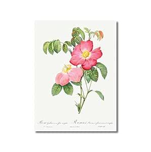 Tamatina Wall Posters | Living Room Home Décor Restaurant Bedroom ...