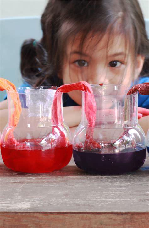 Fun Science Magic Experiments 的图像结果