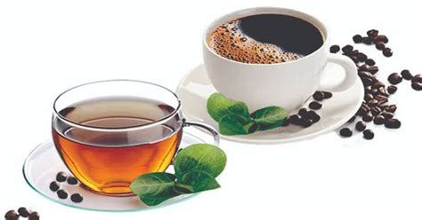 Первая Африканская выставка кофе и чая (ACT) в Руанде — Teletype