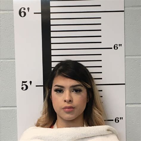 Rockwall County Daily Inmate List 7/28/2022 - Hunt County Theft Reports