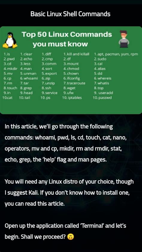 Cyber Security Basics 的图像结果