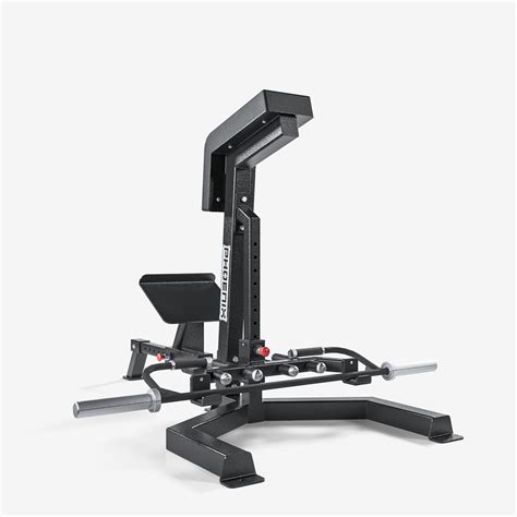 Image result for Bench Row