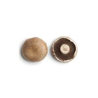 Portobello Mushroom (Fresh) – Shop | Yin N Yang Farms Pvt. Ltd.