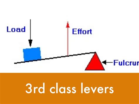 Image result for Types of Levers