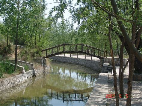 小桥流水 - 石家庄植物园 - 石家庄公园景点