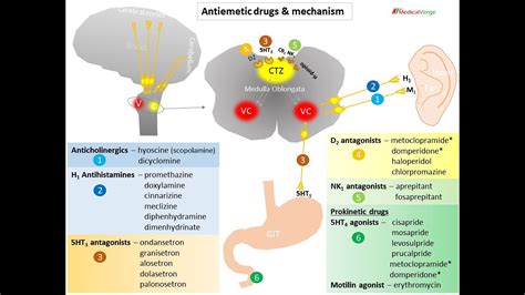 Classify Drugs for Antiemetics (Anti vomiting Drugs) ; Examples ...