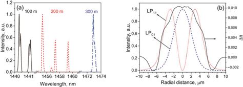 Double-Clad Bismuth-Doped Fiber with a Rectangular Inner Cladding for ...