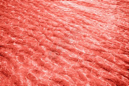 清晰的波纹水纹理2019的新颜色活珊瑚潘通风效应的波纹纹理海洋的沙底海滩沙背景的水海洋纹理趋势摄影2019高清图片下载-正版图片 ...