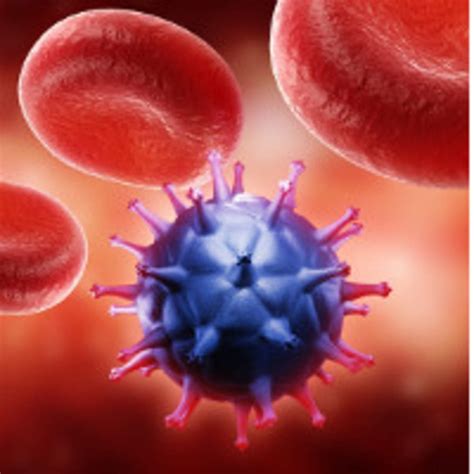 Image result for Opportunistic Pathogen