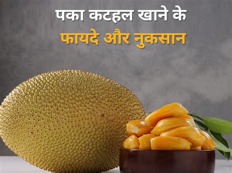 Paka Kathal Khane Ke Fayde Aur Nuksan | पके कटहल खाने के ये हैं 5 फायदे ...