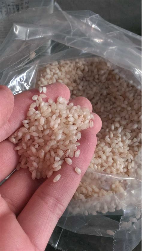 kıbrıscık pirinci görsel sahibi bolu il kültür ve turizm müdürlüğü arşivi