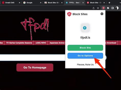 Image result for Block Browser
