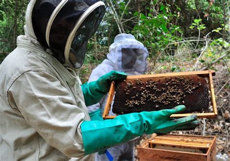 Hoy, primera mielatón Huila Crece. – Red NoticiasHuila