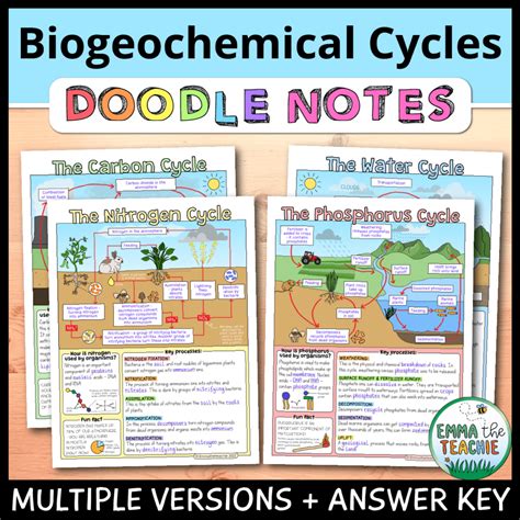 Best Biogeochemical Cycles Lesson Activities - Emmatheteachie - cycle of keys
