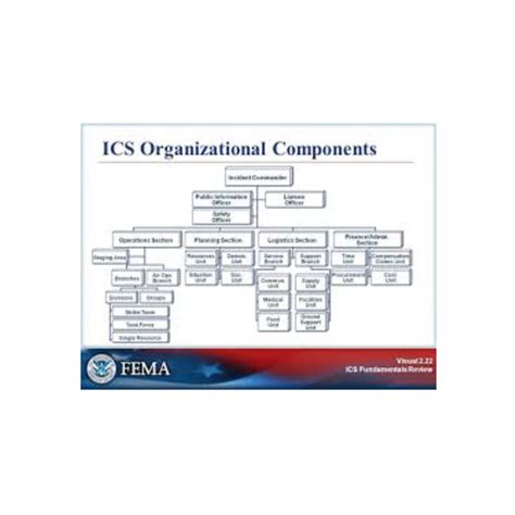 Image result for ICS Chart Esfs