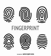 Image result for Fingerprint Illustration
