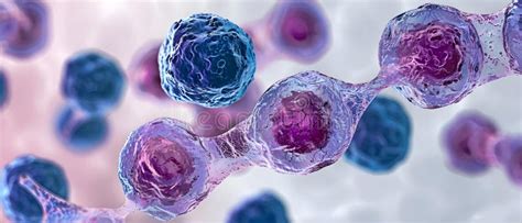 Image result for Cellular Mutation